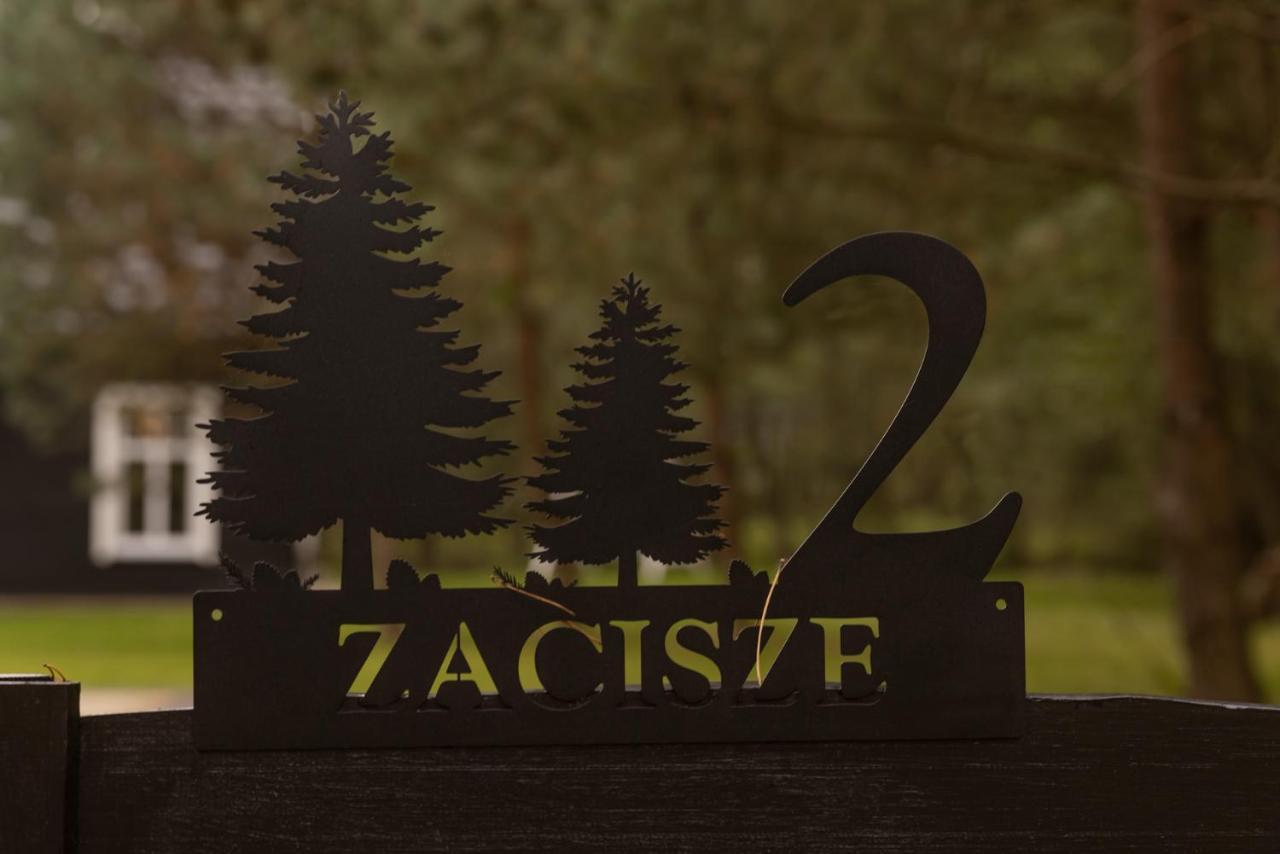 Czarny Dzieciol *